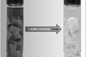 涤/棉一浴法染色的棉基光催化处理染色废水的方法