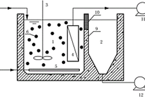悬浮填料-微氧膜生物反应器处理焦化废水的装置及方法