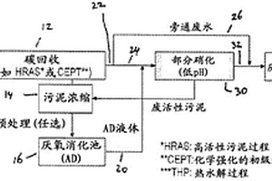 处理废水或污泥的方法