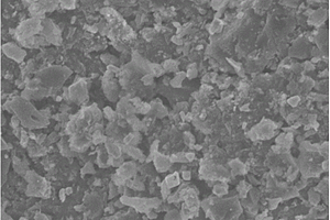 壳聚糖与磁性生物炭复合的磁性吸附剂去除废水中六价铬的方法