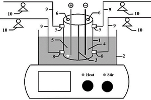 有阳离子交换膜的电化学氧化处理反应器及用于处理吡啶废水的方法