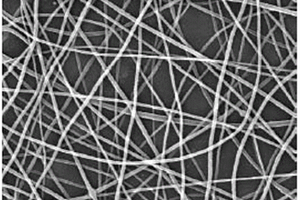 纳米纤维材料、其制备方法及其在化工废水硝基苯监测中的应用