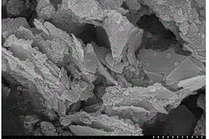 铁酸铋改性生物炭复合物吸附处理含六价铬废水的方法
