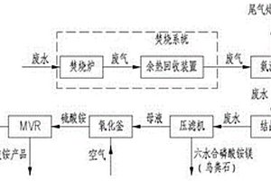 含磷硫高浓度有机废水鸟粪石法资源化处理工艺