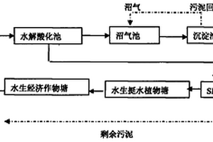 沼气池-生物膜反应器-人工湿地处理猪场废水系统