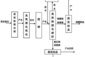 煤化工高盐废水的分质分盐处理装置和处理方法