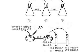 微生物及其制备方法和在有机废水处理中的应用