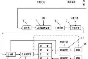 苯胺黑生产高浓度含盐废水处理系统