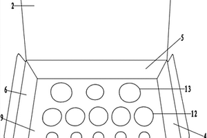 基因重组发光菌综合毒性测定试剂盒