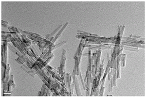 CuO<sub>X</sub>/OMS-2催化剂的制备方法及在降解有机污染物上的应用