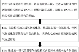 CANON颗粒污泥颗粒化的培养方法及其反应器