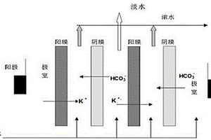 D, L-蛋氨酸的分离纯化方法