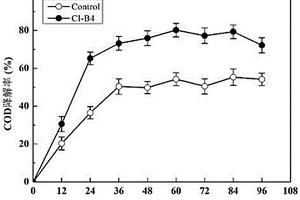 COD降解菌种及其应用