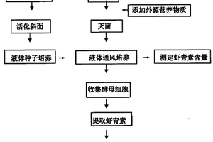 利用黄浆水培养富含虾青素的红发夫酵母的方法