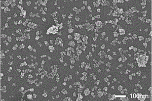 可见光响应的CdS/CdIn<Sub>2</Sub>S<Sub>4</Sub>复合纳米结构光催化剂的制备方法及应用