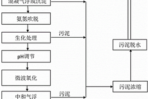 垃圾填埋场渗滤液的处理工艺