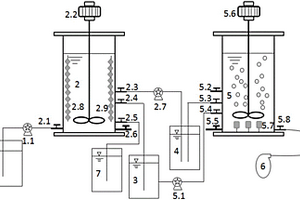 SBR反硝化除磷同步内源短程反硝化厌氧氨氧化的装置和方法