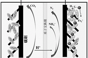 改性蓝藻生物炭负载纳米零价铁材料的制备方法及其应用