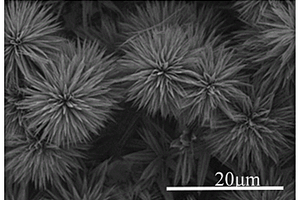 Ti/Co<Sub>3</Sub>O<Sub>4</Sub>涂层电极的制备方法