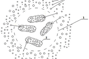用于回收重金属的微生物胶囊