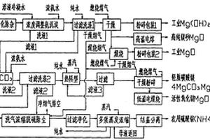 钢铁冶炼镁法脱硫液联产硫酸铵的系统