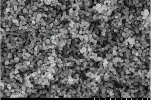 球形纳米氧化锌的制备方法