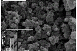 原位合成的纳米硫铁杂合生物膜电极及其制备方法和应用