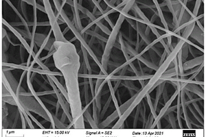 具有耐腐蚀铠甲结构的气态纳米纤维膜及其制备方法和应用