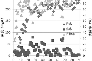 厌氧氨氧化颗粒污泥的培养方法