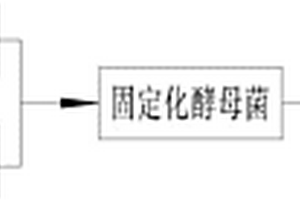 污染物降解方法