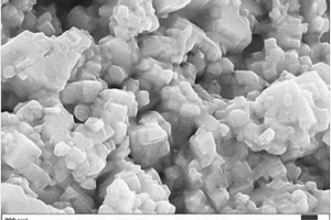 铒离子掺杂镍酸镧光催化剂及其制备方法和应用