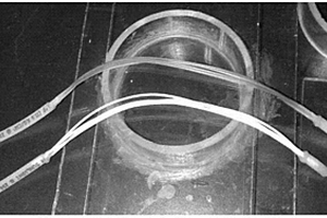 利用生物制剂进行中空纤维膜表面亲水改性的方法