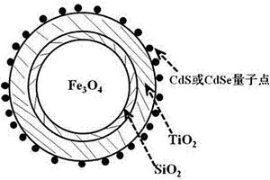 磁性Fe3O4/SiO2/TiO2/量子点复合纳米光催化剂及其制备方法和应用
