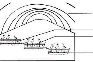 人工湿地产业化构建方法