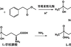 酶拆分法制备L-草铵膦的工艺