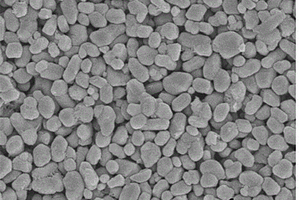 高通量、可见光响应的纳米线催化陶瓷膜的制备方法