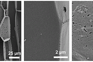 钯纳米颗粒-三维活性炭复合催化剂及其制备方法与应用