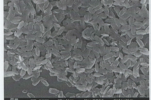 黑色单一板钛矿相二氧化钛的制备方法
