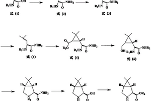 （1R，2S，5S）-6，6-二甲基-3-氮杂双环[3，1，0]己基-2-羧酸酯的制备方法