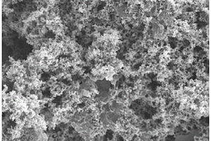 吸附染料的铁镍/石墨烯纳米复合材料及其制备方法