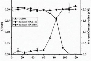 高效降解3-甲基苯酚的菌株及其筛选方法和应用