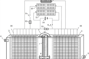 太阳能光电场协同藻菌代谢的养殖沼液处理装置和沼液处理方法