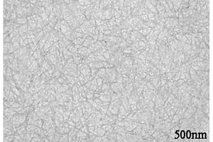 棕榈纳米纤维-石墨烯-碳纳米管复合气凝胶的制备方法