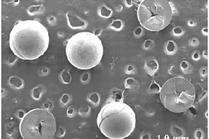 一锅法制备硫铁化合物/碳复合介孔毫米球的方法