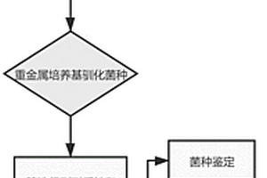 微生物吸附剂及其制备方法和应用