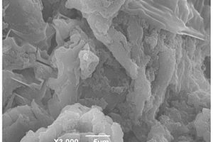 离子印迹改性多孔海藻酸钠微球材料的制备及应用