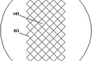 基于网孔结构的微孔生物膜适合固定式添加载体填料