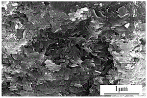钼酸铋包覆电气石复合光催化剂的制备方法