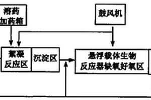 集成的污水悬浮载体生物处理工艺