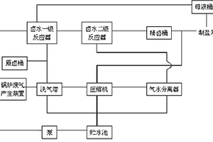 真空制盐卤水及锅炉废气净化处理装置